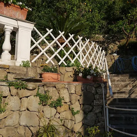 La Maison De La Affittacamere Massa Lubrense